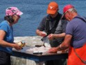 Fishermen fileting cod fish